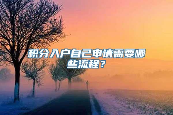 积分入户自己申请需要哪些流程？