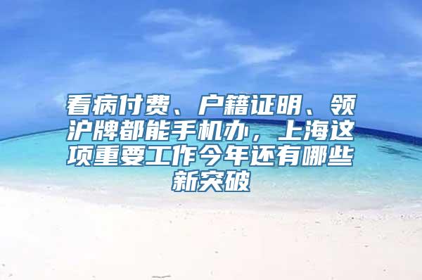 看病付费、户籍证明、领沪牌都能手机办，上海这项重要工作今年还有哪些新突破