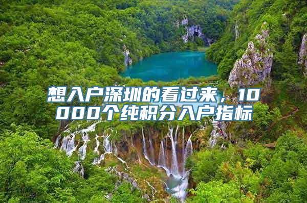 想入户深圳的看过来，10000个纯积分入户指标