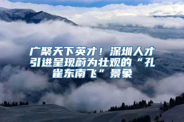 广聚天下英才！深圳人才引进呈现蔚为壮观的“孔雀东南飞”景象