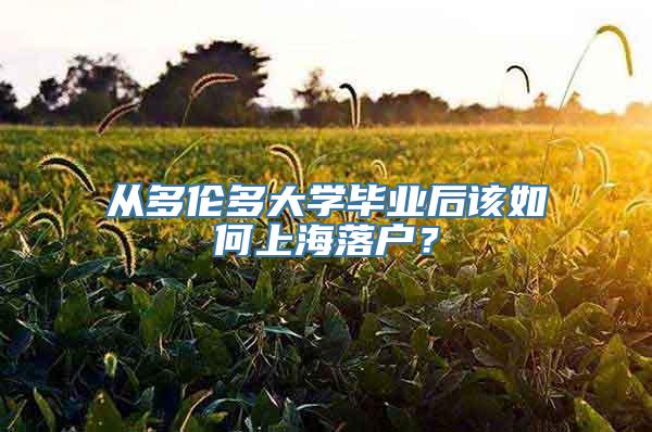 从多伦多大学毕业后该如何上海落户？