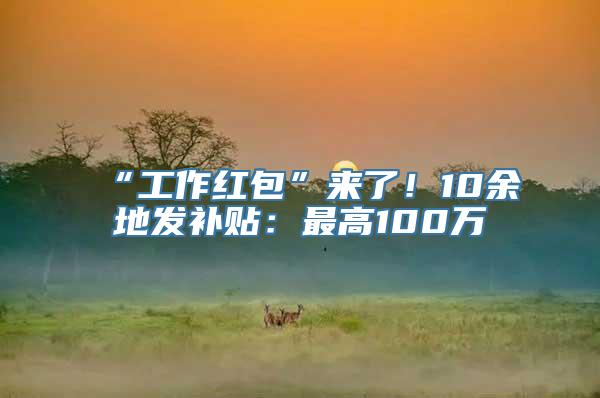 “工作红包”来了！10余地发补贴：最高100万