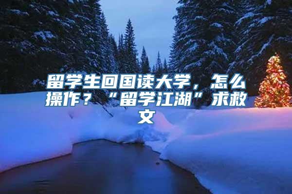 留学生回国读大学，怎么操作？“留学江湖”求救文