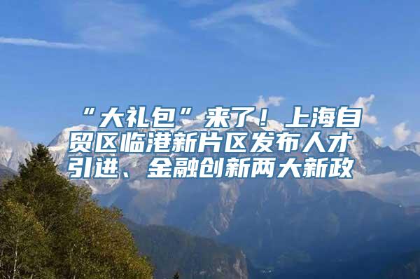 “大礼包”来了！上海自贸区临港新片区发布人才引进、金融创新两大新政