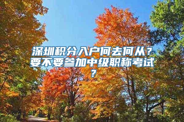 深圳积分入户何去何从？要不要参加中级职称考试？