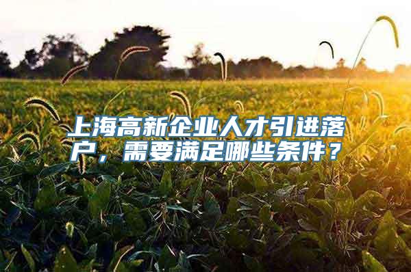 上海高新企业人才引进落户，需要满足哪些条件？