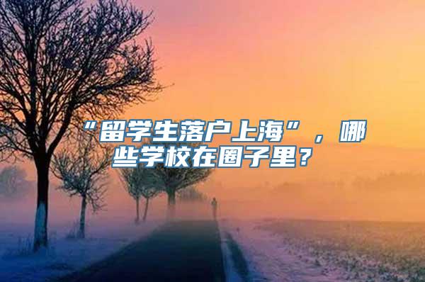 “留学生落户上海”，哪些学校在圈子里？