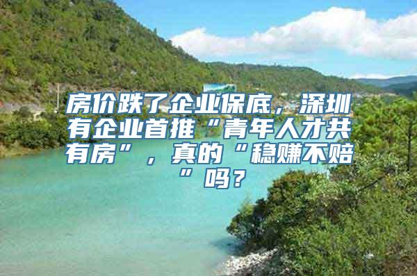 房价跌了企业保底，深圳有企业首推“青年人才共有房”，真的“稳赚不赔”吗？