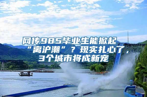 网传985毕业生能掀起“离沪潮”？现实扎心了，3个城市将成新宠