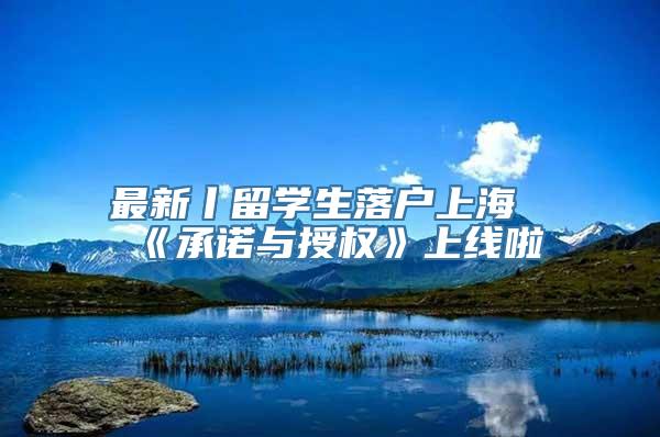 最新丨留学生落户上海《承诺与授权》上线啦