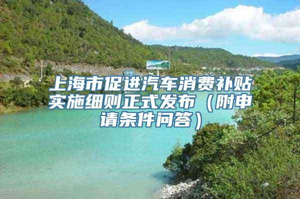 上海市促进汽车消费补贴实施细则正式发布（附申请条件问答）