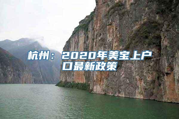 杭州：2020年美宝上户口最新政策