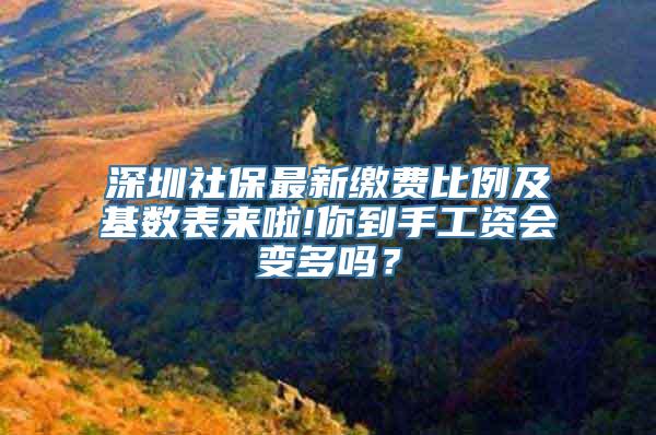 深圳社保最新缴费比例及基数表来啦!你到手工资会变多吗？