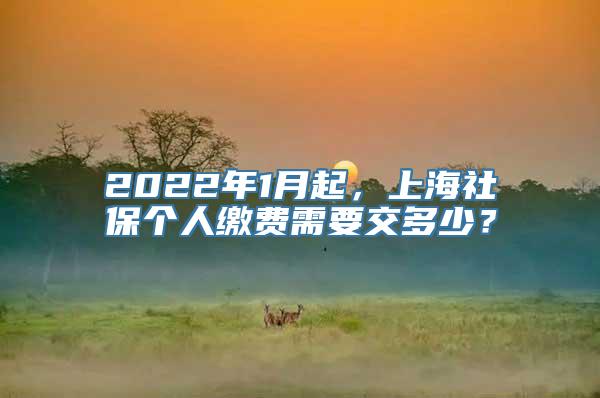 2022年1月起，上海社保个人缴费需要交多少？