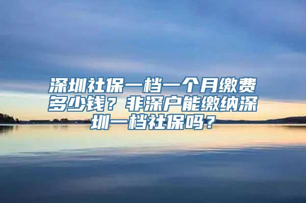 深圳社保一档一个月缴费多少钱？非深户能缴纳深圳一档社保吗？