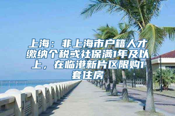 上海：非上海市户籍人才缴纳个税或社保满1年及以上，在临港新片区限购1套住房