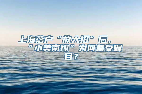 上海落户“放大招”后，“小美南翔”为何备受瞩目？