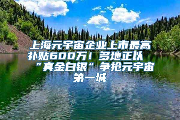 上海元宇宙企业上市最高补贴600万！多地正以“真金白银”争抢元宇宙第一城