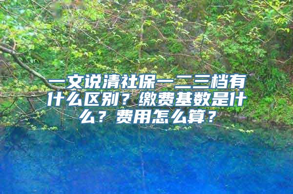 一文说清社保一二三档有什么区别？缴费基数是什么？费用怎么算？