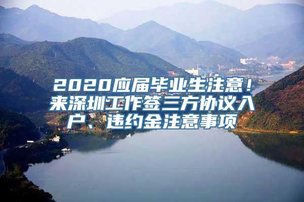 2020应届毕业生注意！来深圳工作签三方协议入户、违约金注意事项