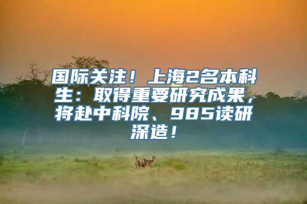 国际关注！上海2名本科生：取得重要研究成果，将赴中科院、985读研深造！