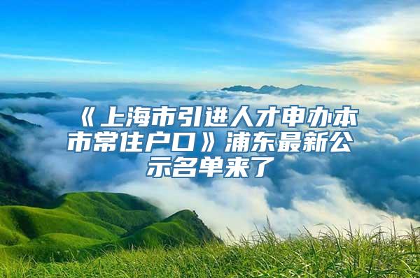 《上海市引进人才申办本市常住户口》浦东最新公示名单来了