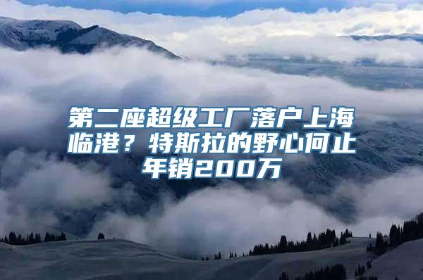 第二座超级工厂落户上海临港？特斯拉的野心何止年销200万