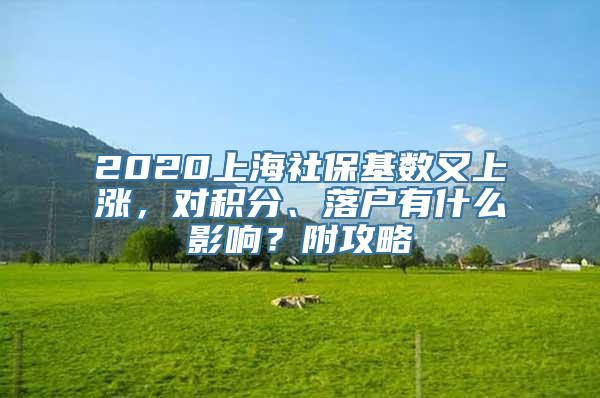 2020上海社保基数又上涨，对积分、落户有什么影响？附攻略