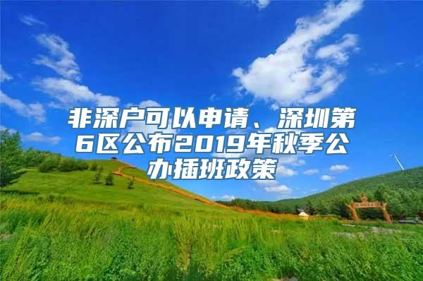 非深户可以申请、深圳第6区公布2019年秋季公办插班政策