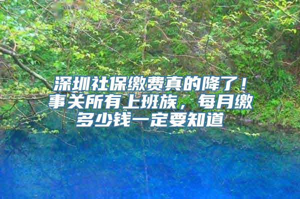 深圳社保缴费真的降了！事关所有上班族，每月缴多少钱一定要知道