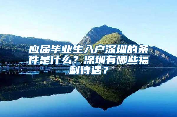 应届毕业生入户深圳的条件是什么？深圳有哪些福利待遇？