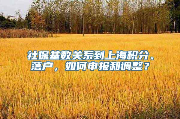 社保基数关系到上海积分、落户，如何申报和调整？