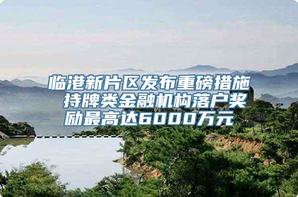 临港新片区发布重磅措施 持牌类金融机构落户奖励最高达6000万元