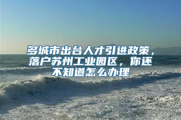 多城市出台人才引进政策，落户苏州工业园区，你还不知道怎么办理