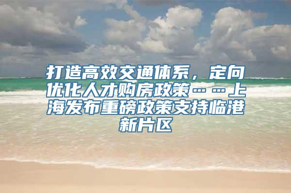 打造高效交通体系，定向优化人才购房政策……上海发布重磅政策支持临港新片区