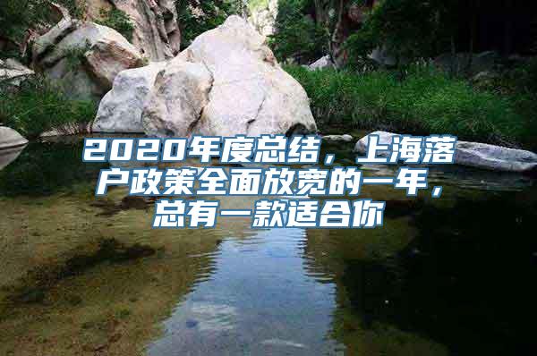 2020年度总结，上海落户政策全面放宽的一年，总有一款适合你