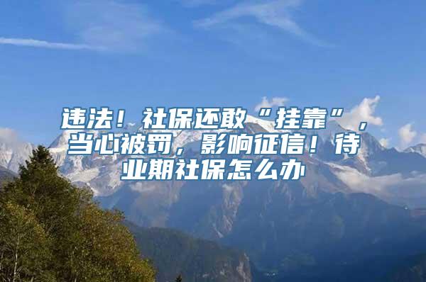 违法！社保还敢“挂靠”，当心被罚，影响征信！待业期社保怎么办