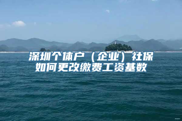 深圳个体户（企业）社保如何更改缴费工资基数