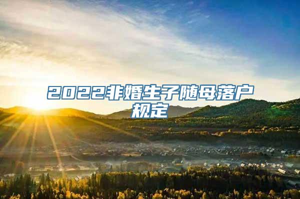 2022非婚生子随母落户规定