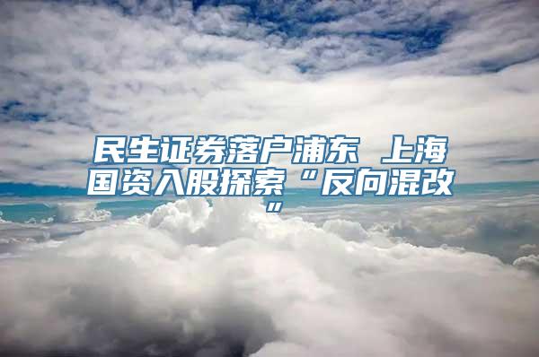 民生证券落户浦东 上海国资入股探索“反向混改”