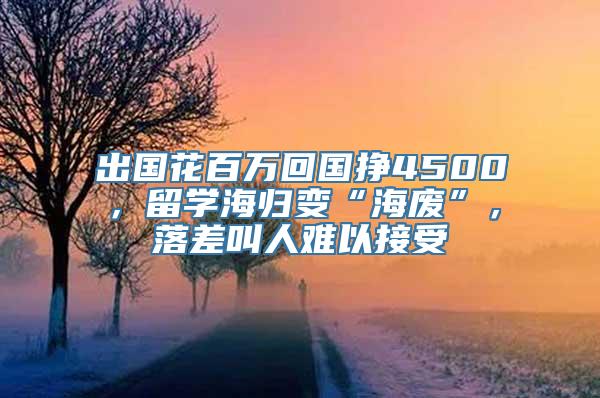 出国花百万回国挣4500，留学海归变“海废”，落差叫人难以接受