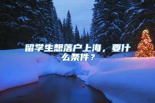 留学生想落户上海，要什么条件？