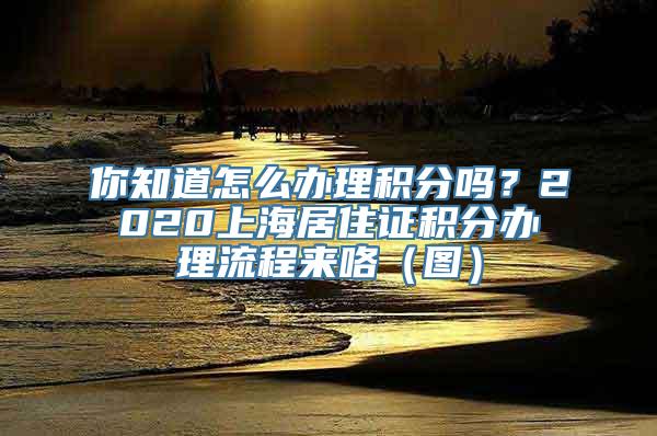 你知道怎么办理积分吗？2020上海居住证积分办理流程来咯（图）