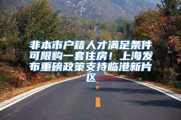 非本市户籍人才满足条件可限购一套住房！上海发布重磅政策支持临港新片区