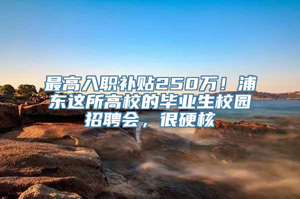 最高入职补贴250万！浦东这所高校的毕业生校园招聘会，很硬核