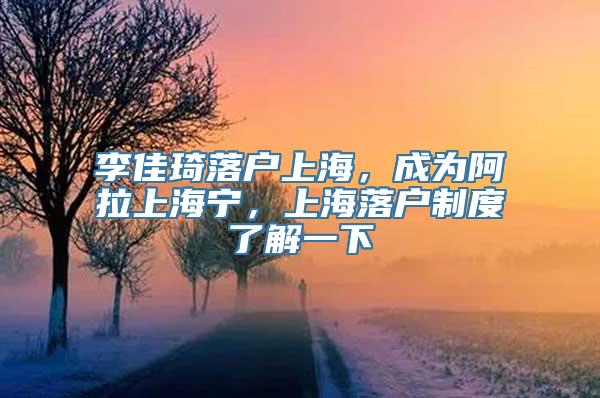 李佳琦落户上海，成为阿拉上海宁，上海落户制度了解一下