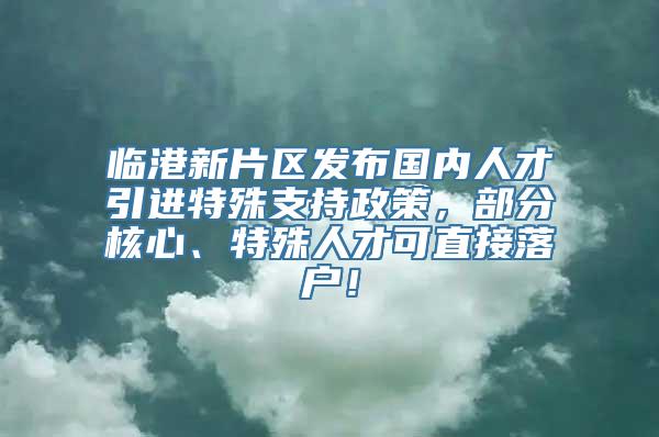 临港新片区发布国内人才引进特殊支持政策，部分核心、特殊人才可直接落户！