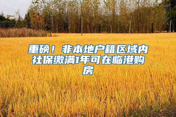 重磅！非本地户籍区域内社保缴满1年可在临港购房