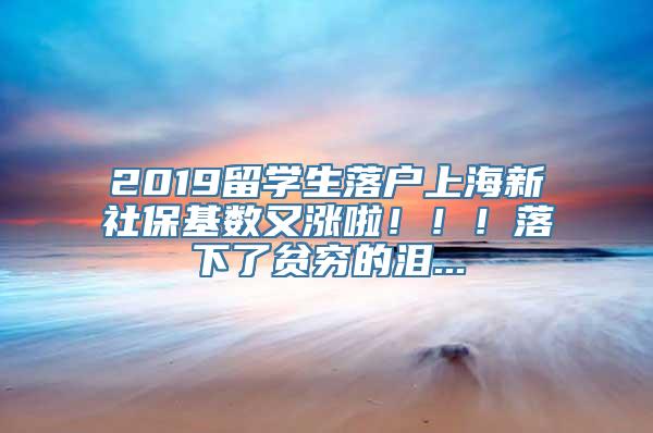 2019留学生落户上海新社保基数又涨啦！！！落下了贫穷的泪...