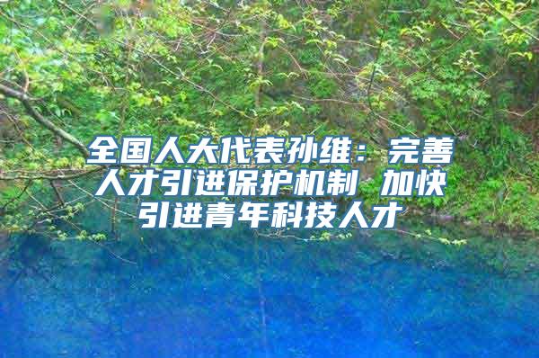 全国人大代表孙维：完善人才引进保护机制 加快引进青年科技人才